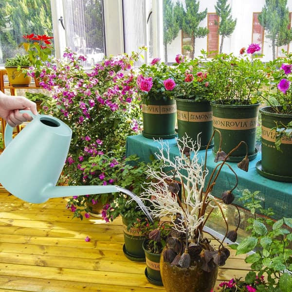 IC Plastkanna med Lång Pip för Bevattning
