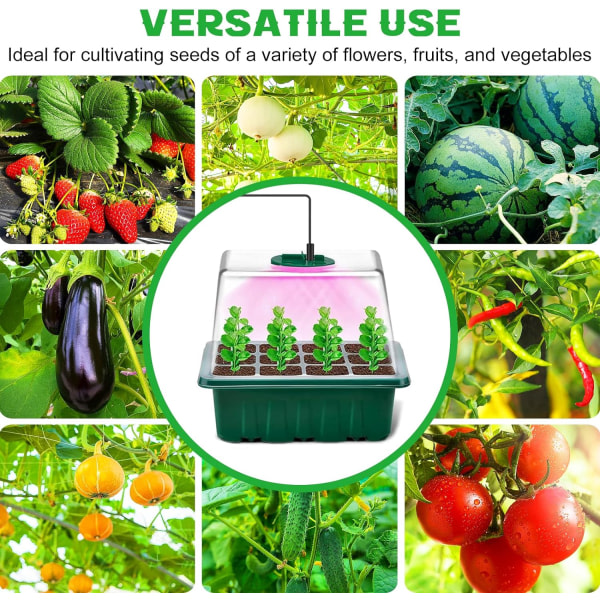5-pakks frøstartbrett med vekstlys - sett med høyere lokk, fuktighetskuppel - hagebruk Blomsterfrøspiring