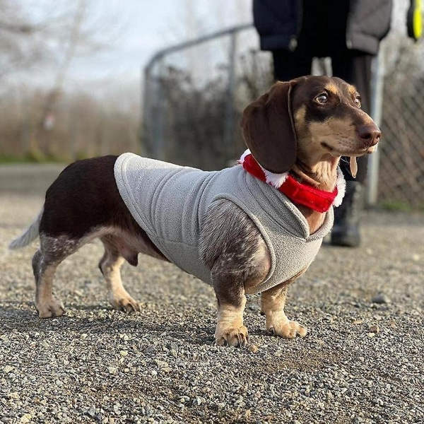 IC Valpstickad tröja - Hundkläder för kallt väder