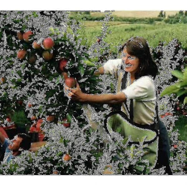 Fruit Picking Bag Orchard Picking Bag Picking Apron