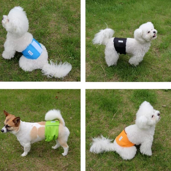 IC Vaskbare hundeblu00f8er - Vaskbare maveomslag til hanhunde - S