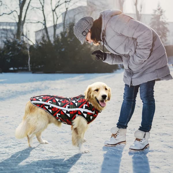 IC NOE Hundekattekåbe (rød XL)