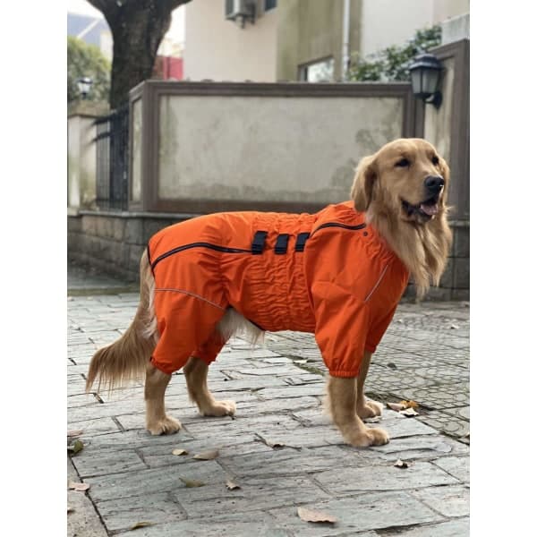 IC NOE Vattentät Jacka för Stora Hundar Orange XXL