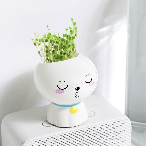 IC 6 nye kreative miniplanter pottelandskaber (Teru teru bōzu) minilandskaber indendørs plantning børnegaver