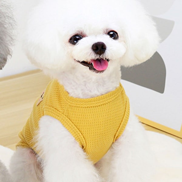IG 2ST Teddy Bichon Frise Koiran Vaatteet Lemmikki Kissan Koiran Vaatteet Kevät