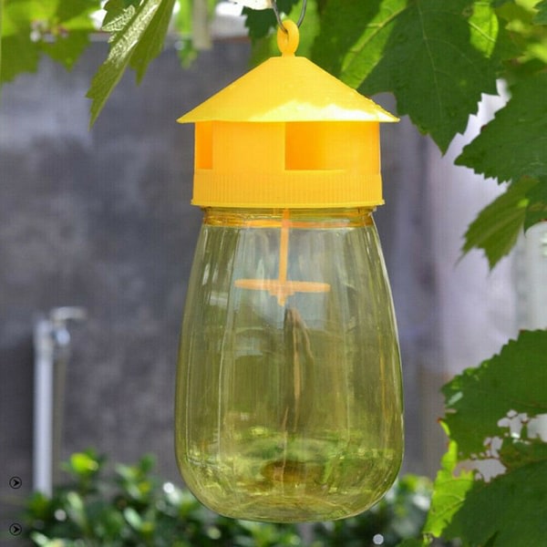 IC-fällan fruktträd melon frukt insekter fruktfluga bi armyworm gul