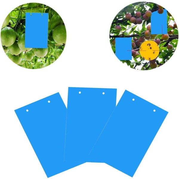 IC 100 ST Dobbeltsidige insektsfeller Papirfluefanger for mygg