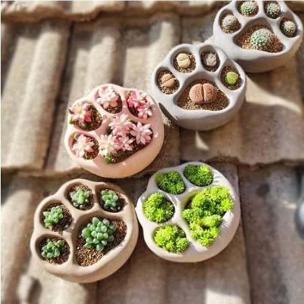 IC 3-pak kreative cementblomsterpotter Design af dyrefodspor