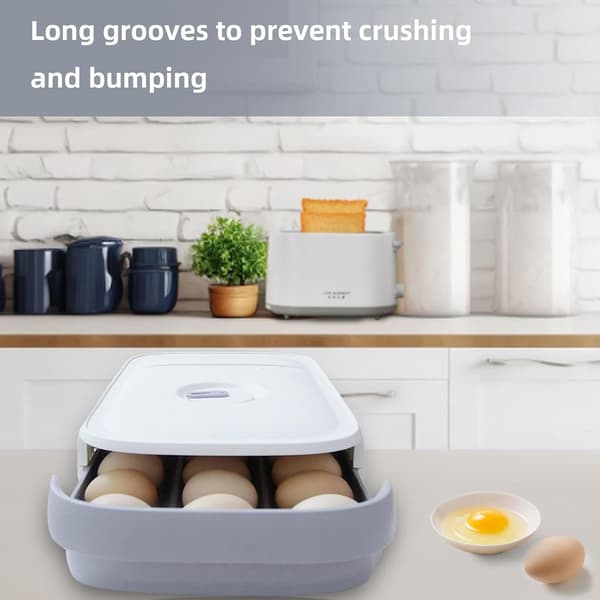 Storage Box - Egg Holder - Transparent - Plastic - Refrigerator - White - Egg Storage Box - Egg Storage Container