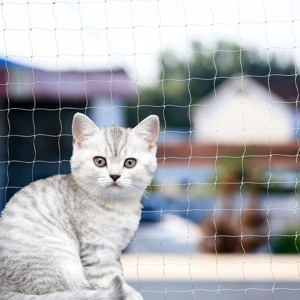 Balkon kattedyrnet - 3x2m - Kattenet - balkon - Let - montering - Kattehegnssystem - Beskyttelsesnet - Kat - eller - vindue - Hvid
