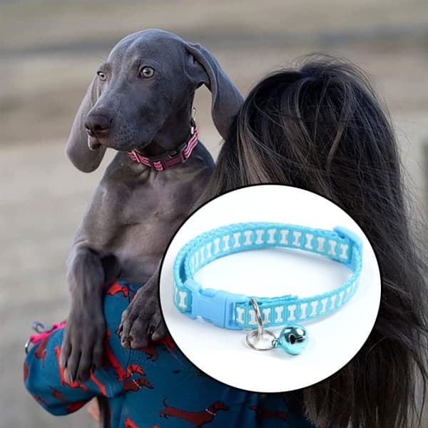 IC Native Pup Thin Blue Line Koiran Kaulapanta Sininen