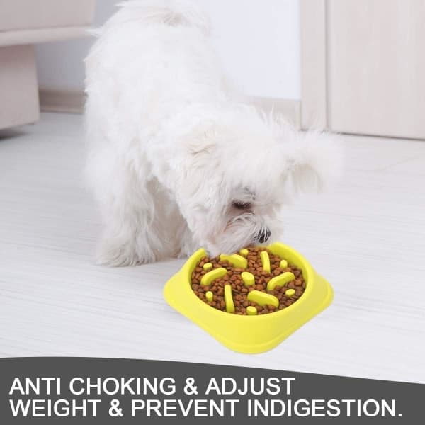 IC Dog Langsom Foder Skål, skridsikker pusleskål - Anti-Gulping Pet