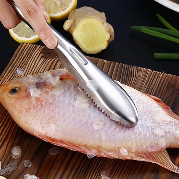 Fish Scraper - Fish Descaler - Scale Remover - Stainless Steel - Fish Scale Scraper - Fish Scale Brush - Fish Scale Remover