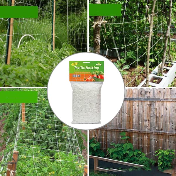 IC Nylon Mesh Trädgårdsbruk Crawl Net Vine Grow Holder Crawl Garde 1.67*5M