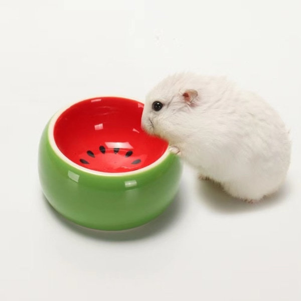 IG 2-delt hamstermatskål, keramisk matskål og vannskål