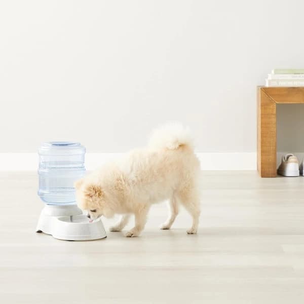 Water Dispenser, Small, Grey, Pet Supplies (3.8 L)