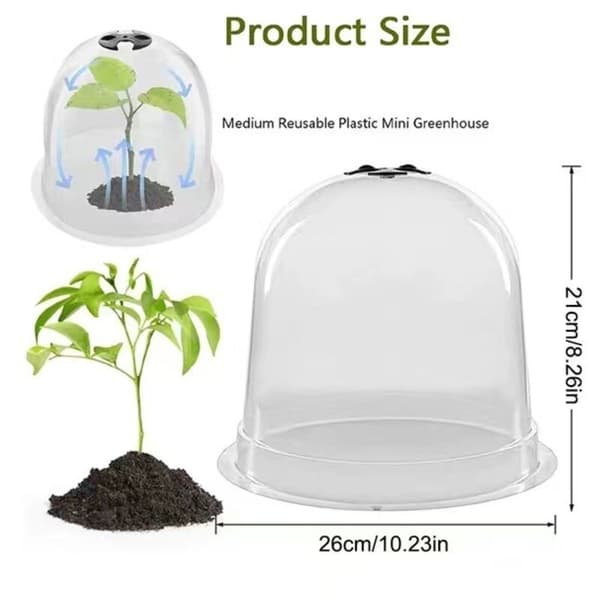 Salatklokke x6 Drivhusbeskyttelse for planter