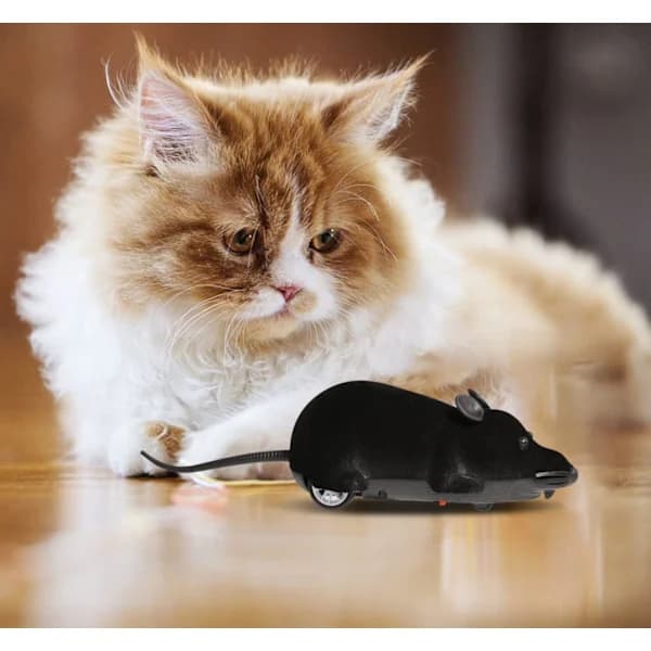 Remote Control Mouse Cat Toy, Interactive Moving Cat Toy Wireless Electronic RC Rat Mice Pet Toys