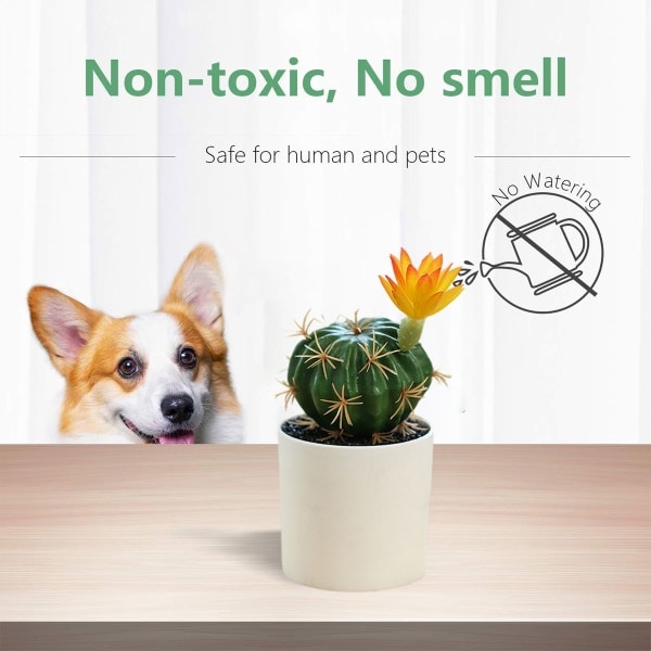 IC Plastkrukor, konstgjord tropisk kaktus, bonsai, kreativ