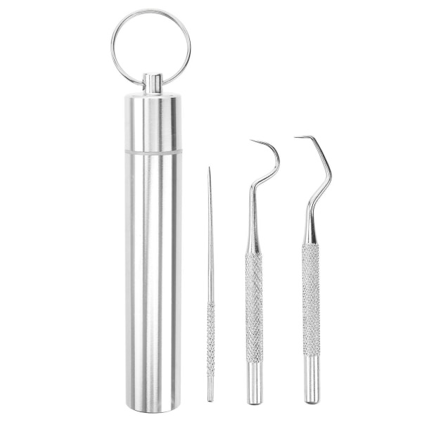 1 set tandpetare i rostfritt stål Bärbara tandokar Tänder Rengör verktyg Silver 6,5X1cm Silver 6.5X1cm IC
