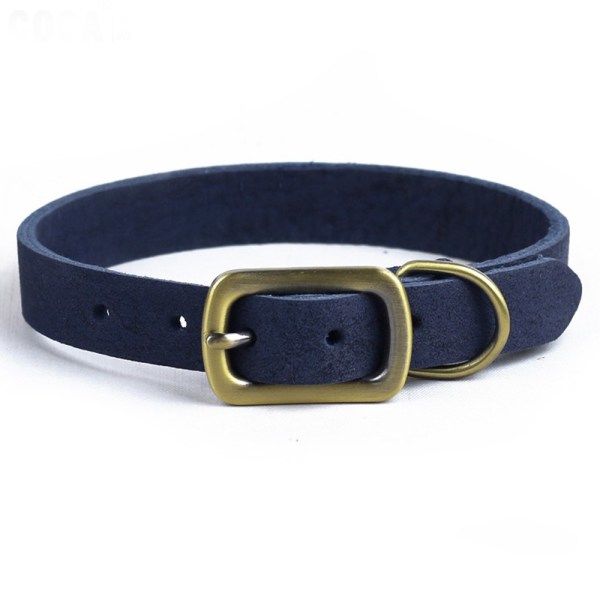 IC Starkare än läder Vattentätt & luktsäkert hundhalsband | blue