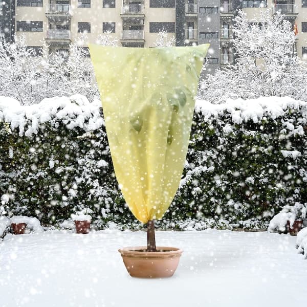 Vinterdekke for planter, Vinterskydd, Plant Vinterslöja
