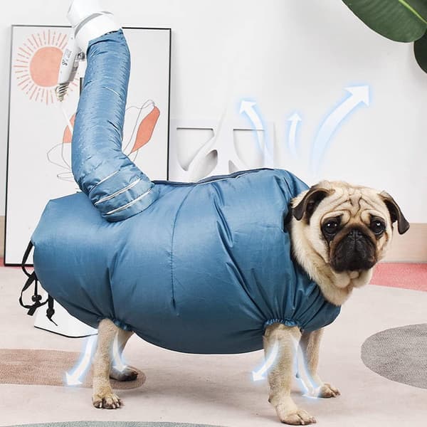 Pet - Dogs - Cats - Suitable - Large - Quick-drying - Comfort - Size - L - 10 - 20