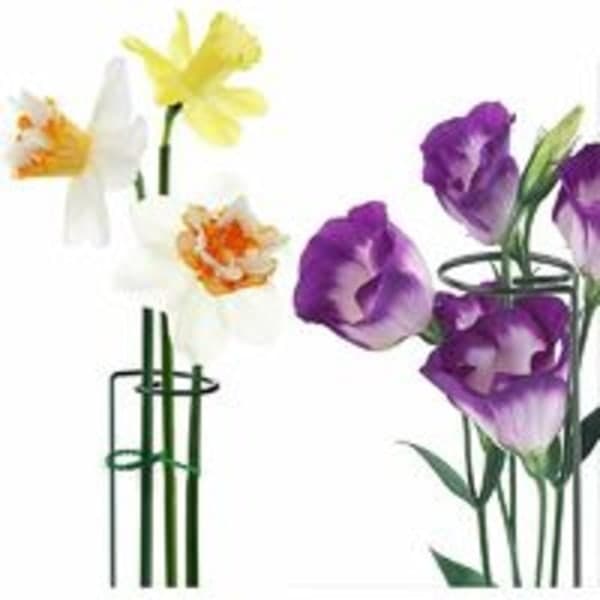 IC 6 st Växtstödspinnar Enkelstav Växtstödspinnar Trädgårdsväxtstödspinnar Växtstödspinnar för Växter Blomrosa Tomat Liljapion (40cm)