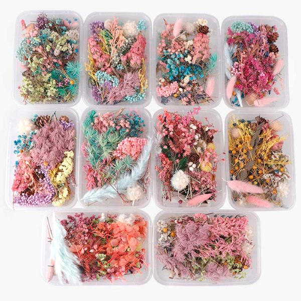IC Torkade Blommor Naturlig Blomsterkonst Craft Scrapbooking Resin Smycke Flerfärgad 5Pcs