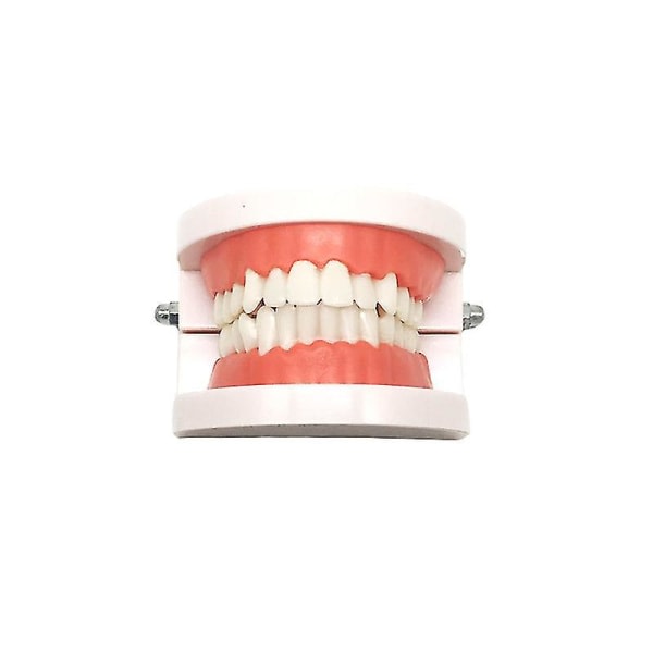 IC CNE-tandmodell för att lära ut dentala material D
