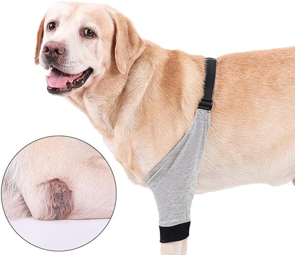 Adjustable - Elbow Brace - Pet - Recovery Suit - Dogs - Front Leg - Leg Protector - Dog - Elbow Protector - Knee Pads