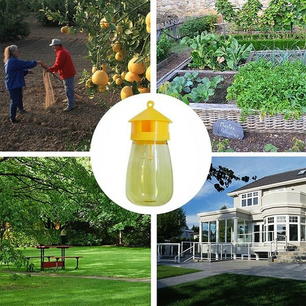 IC felle fruktstativ melon frukt insekter fruktflue bi armyworm kl Yellow