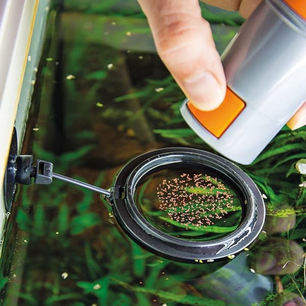 Rund foderring för akvarium med sugpropp, flytande matstation håller fodret på plats, svart plast, 7,5 cm diameter