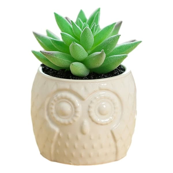 IC Simulering sukkulenter bonsai ugle keramiske potter kreative små