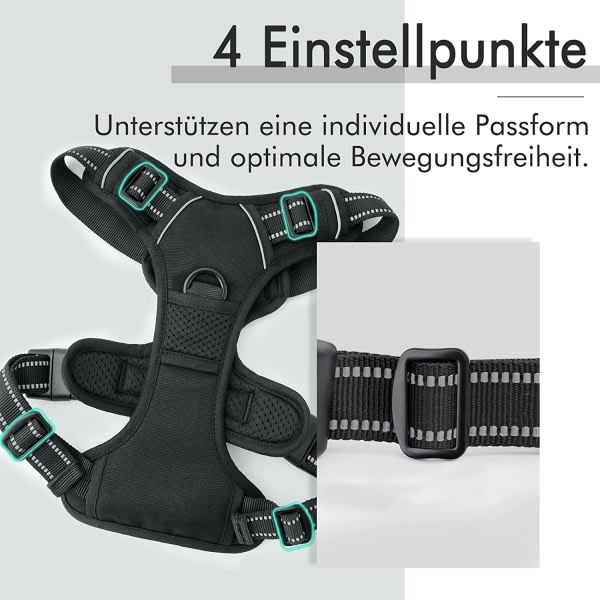IC CNE Medium Hundbärare, Anti-Drag Sele Hundkoppel