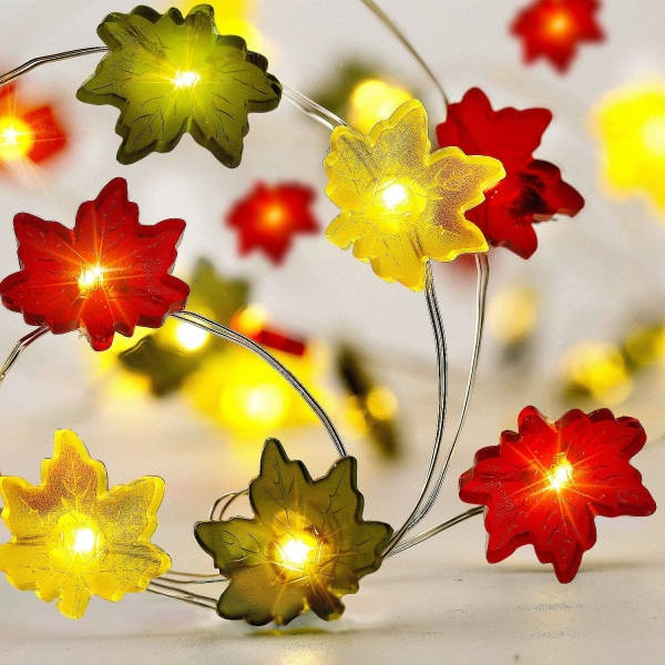 IC 10 fot 30 färgglada LED Lönnlöv Ljusslinga Batteridrivna