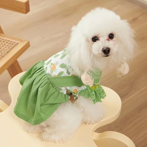 IC Hundklänningar för små hundar Valptjejkläder Hundprinsessa Large