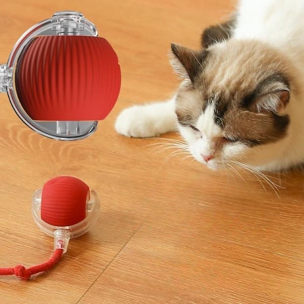 Automatisk bitsäker kattboll med rep - Självunderhållande hoppleksak grå/röd grå/rød