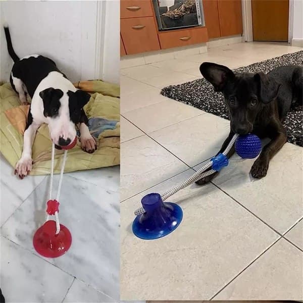 IC Husdjursleksak Valp Molar Bite Toy Elastiskt rep Hund Tuggtillbehör/B/ One Size