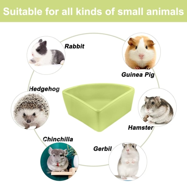 IG Hamster Skål Keramisk Tuggmatskål Vandskål til små green