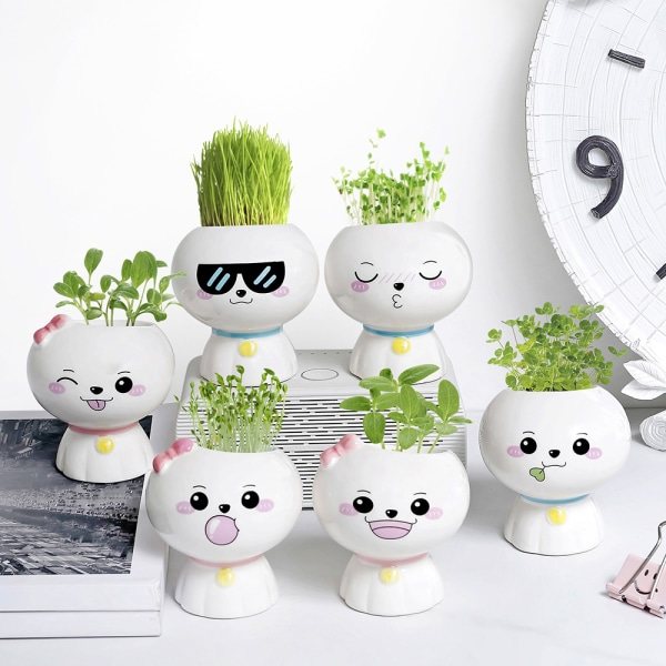 IC 6 nye kreative miniplanter pottelandskaber (Teru teru bōzu) minilandskaber indendørs plantning børnegaver