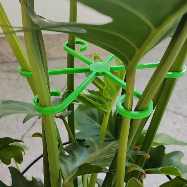 Växtstöd 4-pack, transparenta klätterstöd för inomhus- och utomhusväxter, tomat, ros, monstera, murgröna, osynlig blomhållare