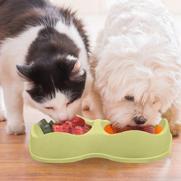 IG 2-i-1 Djurfoderställ för liten hund & katt Dubbla höjda skålar Plast