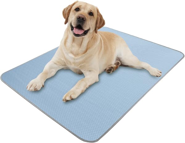 Kjølematte Hund og Katt XL - Vaskbar og Sammenleggbar - 100 x 70 cm - Blå