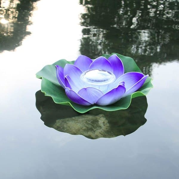 IC pool flydende lys lotus purplegarden