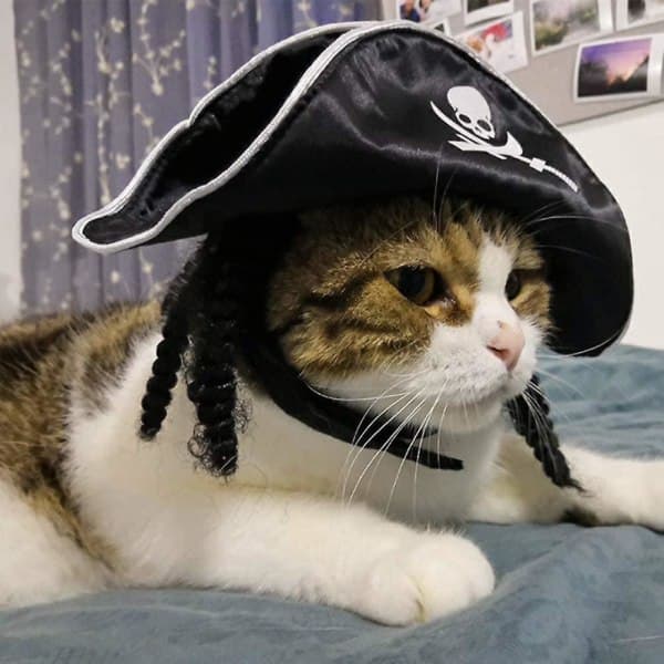 IC Pet Pirate Hat Hund Katt Kapteinhatt