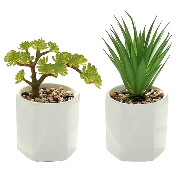 IC 2 store multivinklede potter simulering sukkulenter bonsai
