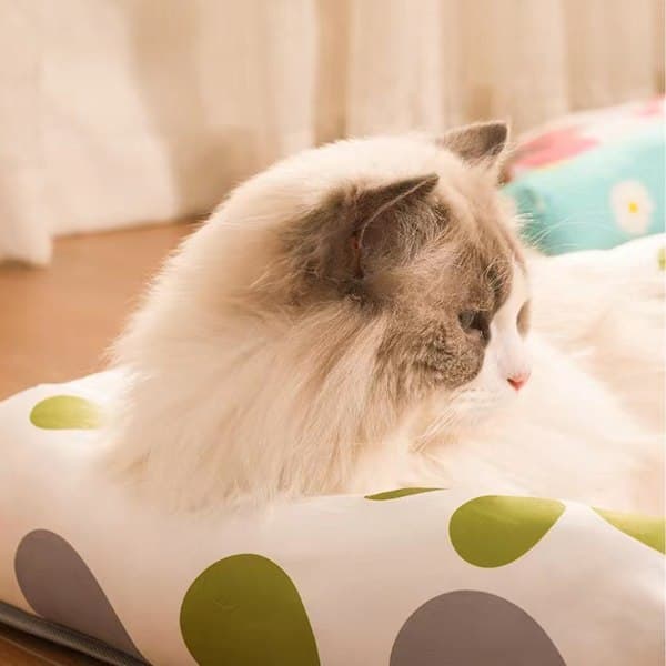 IC Sommar Pet Self Cooling Mat Hundeseng, Slidstærk Hundekattesofa