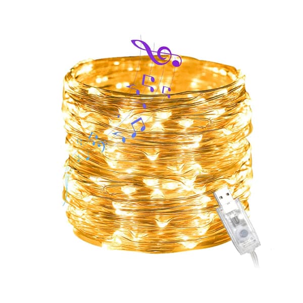 IC Plug-in Lyslenke LED Feelysslyng Feelysslyng for 33ft