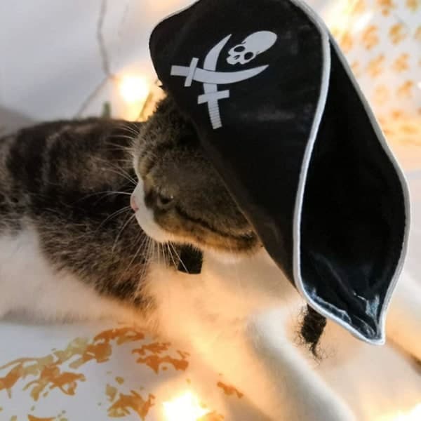 IC Pet Pirate Hat Hund Katt Kapteinhatt